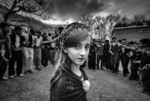 ISFA Gold Medal+ $150 USD